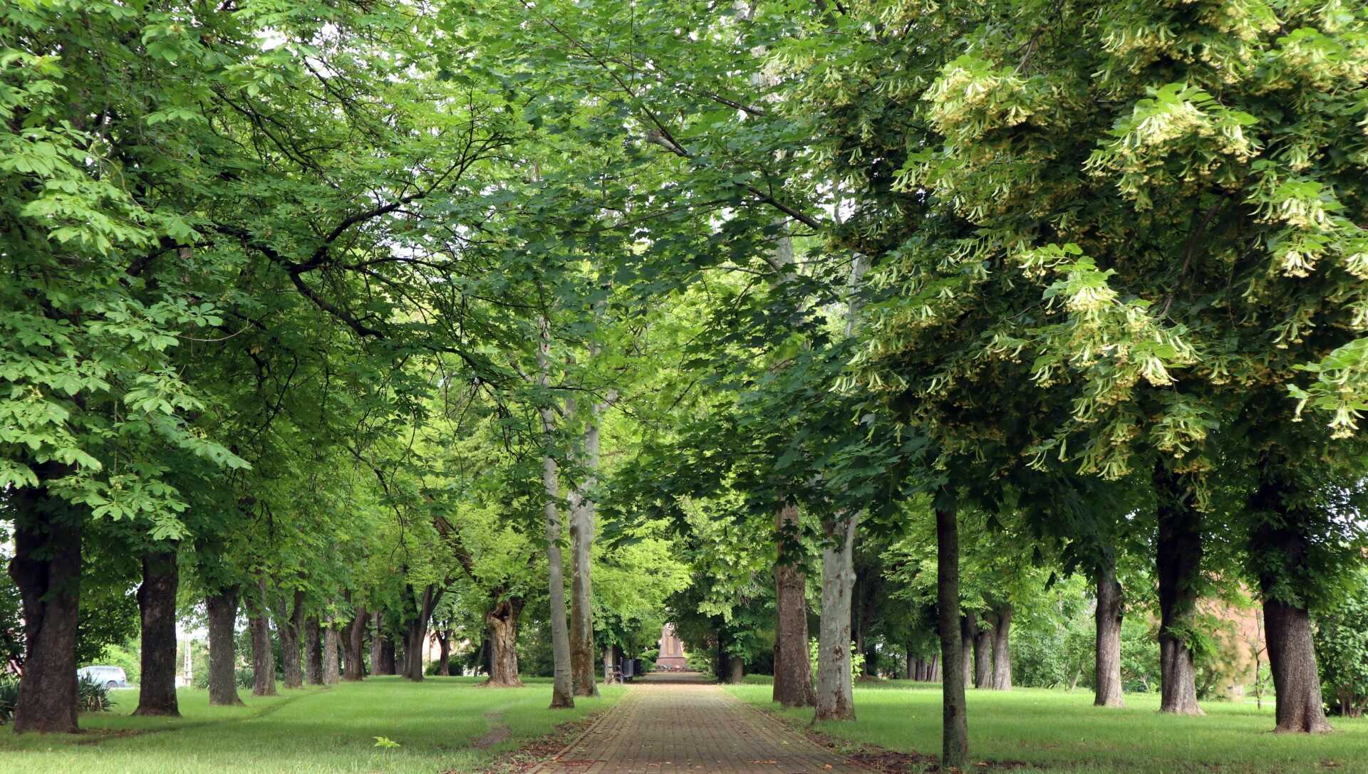 Egyházak Dunaszentgyörgy Község