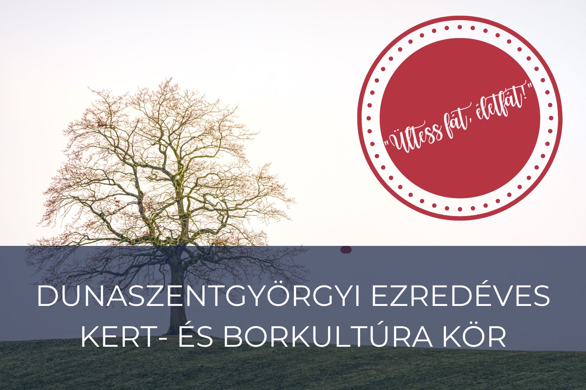 Ültess fát Ültess fát, életfát