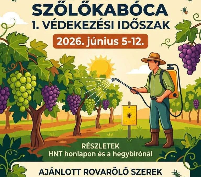 TERMELŐI FELHÍVÁS!