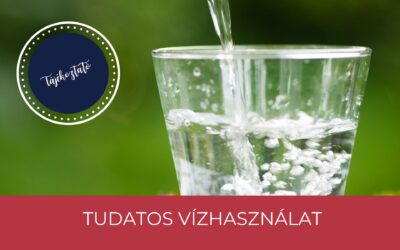 Tudatos vízhasználat